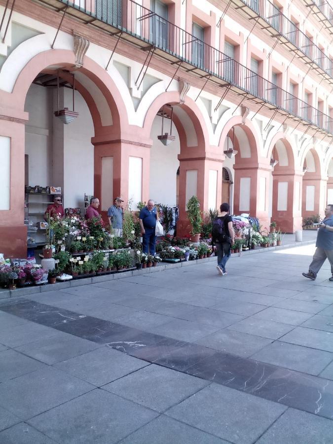 Apartment Lineros 24