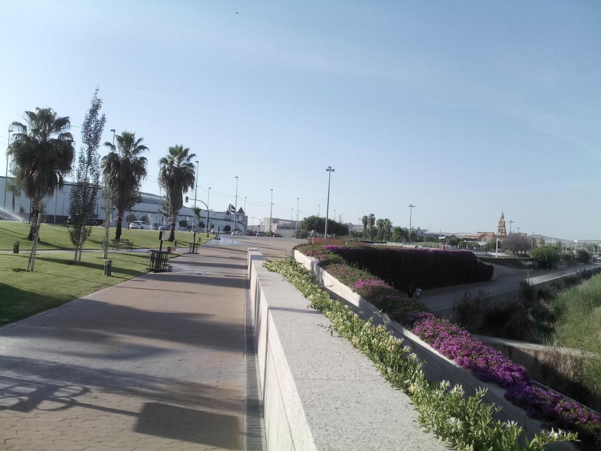 Lineros 24 * Cordoue