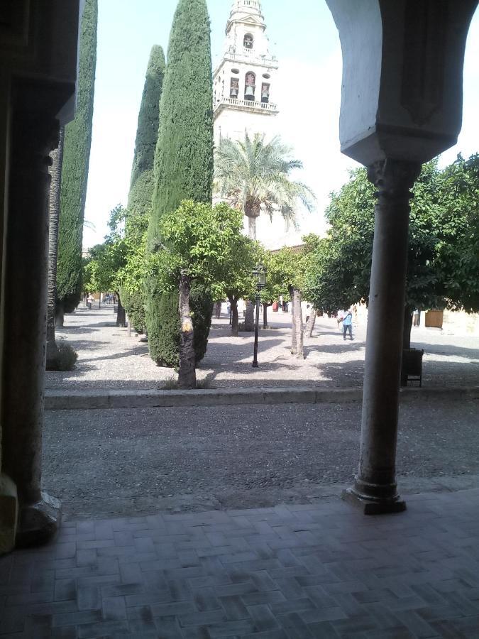 Lineros 24 * Cordoue